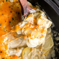 a wooden spoon lifting cheesy scalloped potatoes from a crockpot.