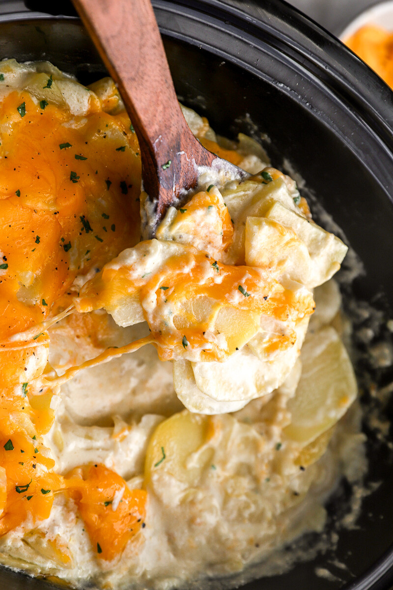 a wooden spoon lifting cheesy scalloped potatoes from a crockpot.